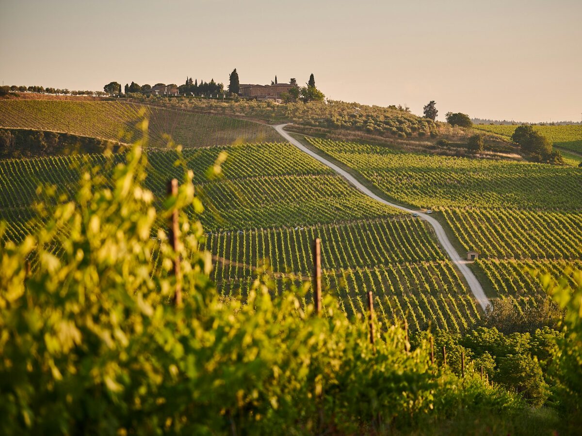 Toscaanse wijngaard met villa op heuveltop bij zonsondergang